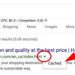 Google Cache: How to View Cached Pages